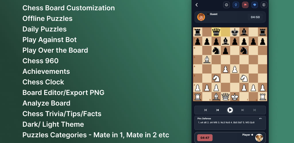 Chess Feature